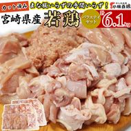 【カット済み】宮崎県産若鶏バラエティセット 計6.1kg 国産 鶏肉 若鶏 もも肉 モモ むね肉 ムネ 肩肉 ささみ ミンチ 小分け カット 冷凍