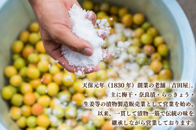こだわりの梅干八代目 1.2kg 南高梅 無添加 減塩 昔ながら 老舗 伝統 国産 大洗 大洗町 梅干し 梅干 梅 うめぼし うめ