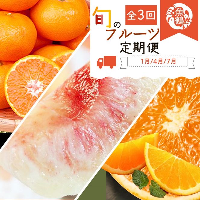 【全3回】紀州和歌山産旬のフルーツ定期便 (みかん・清見オレンジ・桃)【tkb381】