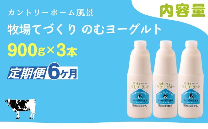 【定期6ヶ月】のむヨーグルト 900g ×3 SKB037