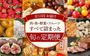 碧南市がチョイスした厳選定期便！ 【全12回】厳選！肉・魚・野菜・フルーツすべて詰まった旬の定期便(毎月お届け）H028-098