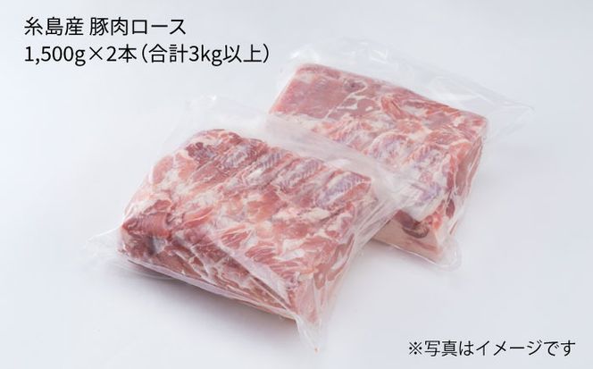 糸島産豚肉 ロース肉 ブロック 3kg 以上 《糸島》 【糸島ミートデリ工房】 [ACA105]