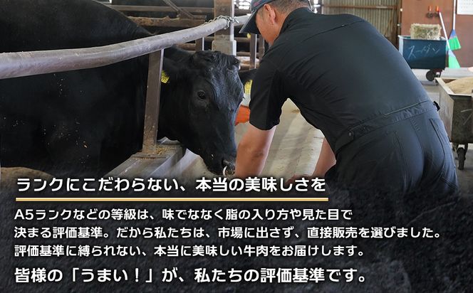 淡路島産プレミアム牛 イザナミ黒牛ホルモンミックス 1.5kg（500g×3パック）