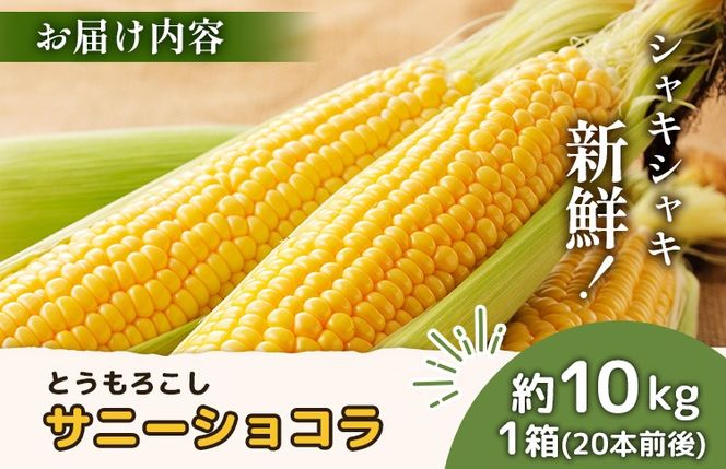 【2026年度発送分】上原農場直送 有機栽培とうもろこし (サニーショコラ) 約10kg 約20本前後【66020】