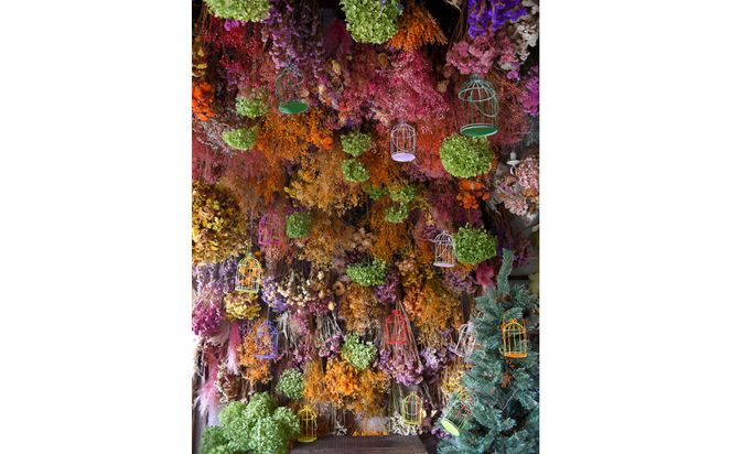 花の異空間　レンタルスペース基本プラン（3名様・1日貸し）〈日am 8:00～pm8:00(最大7H)〉 272230_BG086