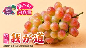 ＼選べる内容量／ 我が道 約1.3kg ～ 5kg  (約2～12房)【2026年8月より発送開始】（茨城県共通返礼品 [ぶどう]：結城市産） ぶどう ブドウ 葡萄 我が道 黒ぶどう 皮ごと 高級 国産 ふるさと納税