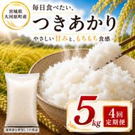 つきあかり 定期便 4回/5kg×1袋 令和8年産 新米 ブランド米 白米 精米 【小分け】 宮城県大河原町産