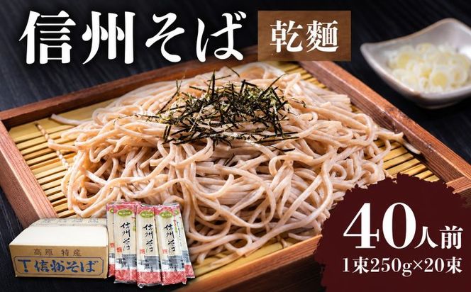 信州そば（乾麺）20束入 40人前 長野 信州 小諸 蕎麦 ご当地 お取り寄せ グルメ 麺類 うどん 
