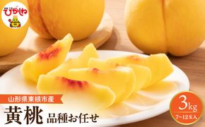 【2026年産】　採れたて黄桃(品種お任せ) 約3kg (7～12玉)晴天畑提供 山形県 東根市 hi026-057