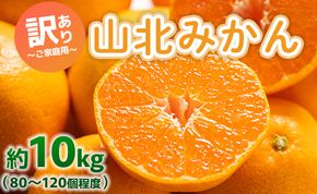 訳あり 山北みかん ご家庭用 約10kg（80～120個程度） 山北みらい - 果物 フルーツ 柑橘類 温州みかん ミカン 蜜柑 甘い おいしい 美味しい 高知県 香南市 yk-0059
