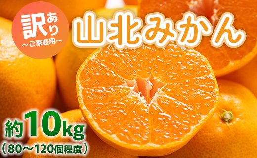 みかん 訳あり 山北みかん ご家庭用 約10kg（80～120個程度） 山北みらい - 果物 フルーツ 柑橘類 温州みかん ミカン 蜜柑 甘い おいしい 美味しい 高知県 香南市 yk-0059