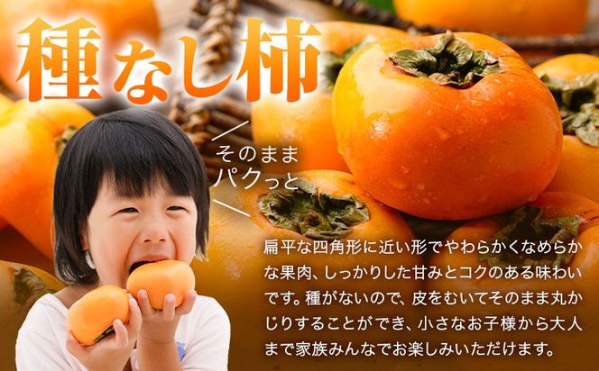 家庭用 種なし柿 選べる 約1kg 約2.5kg 約5kg 約7.5kg 約10kg 訳あり 池田鹿蔵農園《10月上旬-12月上旬頃出荷》和歌山県 日高町 刀根早生柿 平核無柿 ひらたねなしかき カキ 種なし柿---wsh_idn371_10j12j_26_7000_1kg---