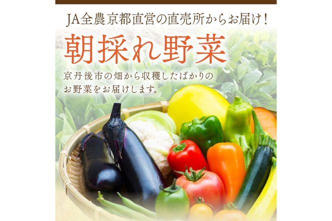 直売所直送【訳あり】 「京都・京丹後産 季節の野菜」お任せ詰め合わせBOX（3品）＋コシヒカリ精米1kg 定期便3回　JA00076