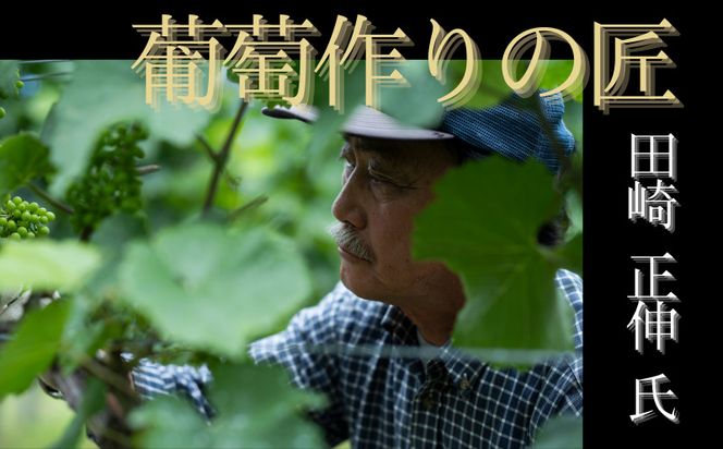 【余市】葡萄作りの匠「匠の白」セット【北海道ワイン】_Y034-0135