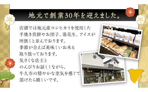 かっぱ本舗商品券3,000円 和菓子 和スイーツ おせんべい お団子 商品券 お祝い [AE007us]