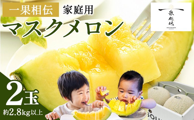 [発送開始]マスクメロン家庭用 2玉入り フルーツ メロン 果物 デザート tn-0025