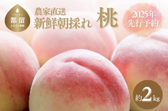 山梨産令和6年 20kg
