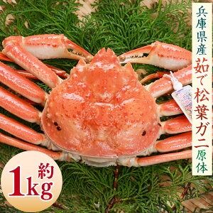 【ふるさと納税】松葉ガニの本場より プロ茹で松葉ガニ（冷凍） 1枚 1kg 原体 かに カニ 蟹 ズワイガニ 松葉ガニ 釜茹で 魚介 新鮮 海産物 急速冷凍 お取り寄せ 兵庫県 新温泉町 送料無料