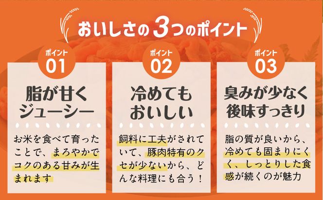 「お米豚」こま切れ3.6kg(黒たれ付)_31-015-3600g 