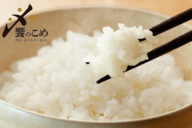 【期間限定発送】 米 令和7年 2kg ×4種 計 8kg 精米 食べ比べ [中橋商事 石川県 宝達志水町 38601091] こしひかり コシヒカリ お米 石川 こめ コメ 白米 10キロ ゆめみづほ ひゃくまん穀 つきあかり