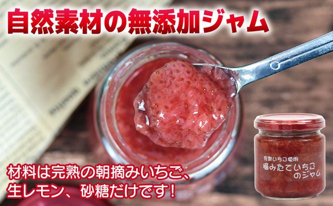 005A433 【先行予約】完熟朝摘みいちごのジャム【苺 無添加 自然素材 フルーツ イチゴ 高評価 数量限定】