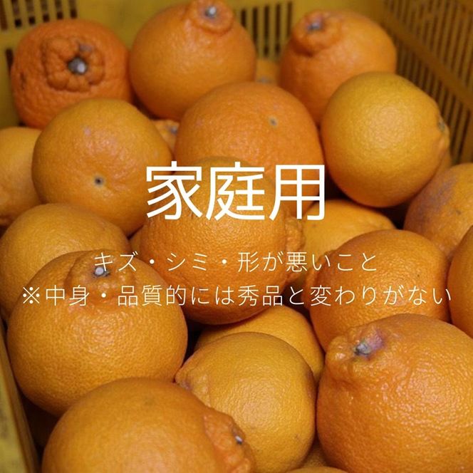 【まごころ手選別】和歌山産　有田の不知火(しらぬひ)約4kg(サイズ混合)【家庭用】 ※2026年2月上旬～4月下旬頃に順次発送予定