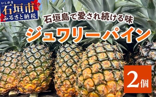 【予約受付】《2026年5月下旬～7月中旬発送》最高糖度18度！？ 完熟の極 石垣島産ジュワリーパイン2個 【 沖縄県 石垣市 石垣島 完熟 パイン パイナップル ジュワリー 予約受付 】TF-16-1_R8