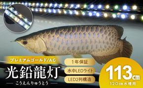 水槽全体を明るく照らし、鱗を際立たせる!金龍専用の高輝度水中ライト|AG120-EX［172C17］金龍 専用 プレミアムゴールド 水中 アロワナ 高輝度 水槽ライト テンニングライト グラデーション 3色 LED ライト 照明 水中照明 光 綺麗 強化ガラス 吸盤 1年保証 簡単 設置 でんらい インテリア 雑貨 愛知県 小牧市 送料無料