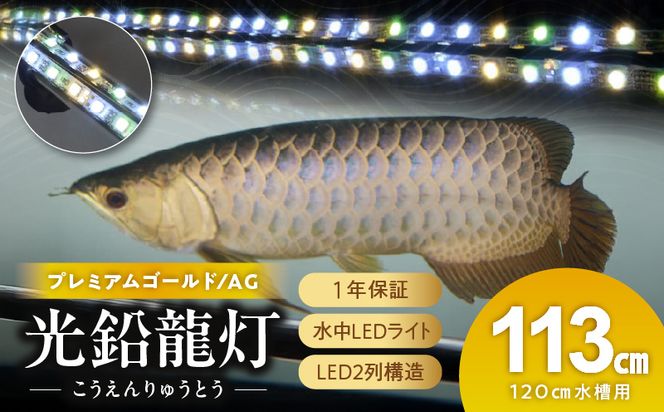 水槽全体を明るく照らし、鱗を際立たせる!金龍専用の高輝度水中ライト|AG120-EX［172C17］金龍 専用 プレミアムゴールド 水中 アロワナ 高輝度 水槽ライト テンニングライト グラデーション 3色 LED ライト 照明 水中照明 光 綺麗 強化ガラス 吸盤 1年保証 簡単 設置 でんらい インテリア 雑貨 愛知県 小牧市 送料無料