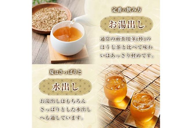 ＜数量限定＞訳あり・簡易包装！ほうじ茶 三角 ティーバッグ (計360g・3g×120P)簡易包装 お茶 茶葉 ホット アイス 常温 保存 便利【AA-23】【鹿島園本舗】