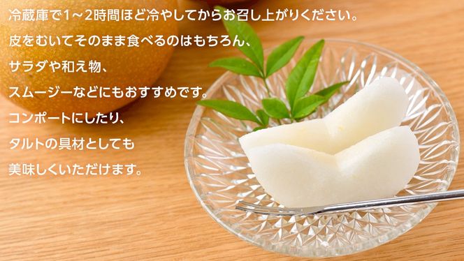 ＼ 選べる内容量 ／ あきづき 梨 3kg （6～8玉）/ 5kg（8～12玉）/ 10kg （18～24玉）【2026年10月より発送開始】（茨城県共通返礼品 [梨]：大子町産） なし 旬 お取り寄せ フルーツ 甘い ジューシー 和梨 時期 秋月