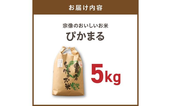 むなかた産 米 ぴかまる 5kg【みきふぁーむ】_HA1543