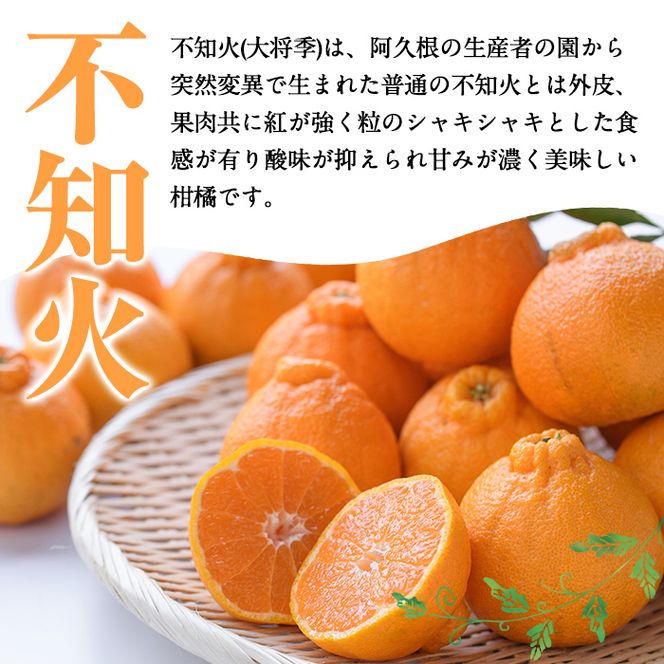 ＜先行予約受付中！2027年2月以降順次発送予定＞＜訳あり・不揃いの為＞数量限定！無加温ハウス不知火(5kg) 国産 鹿児島県 阿久根市 果実 果物 フルーツ 柑橘 みかん ミカン 期間限定 数量限定【桐野柑橘株式会社】akn070-12