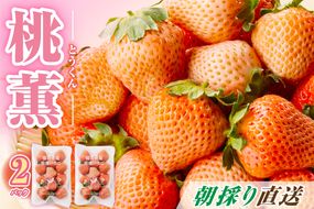 【先行予約】【2026年12月中旬より順次発送】福岡県産　桃薫　2パックセット【ナチュレッシュ・ファーム・ジェイピー】_HA1338