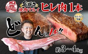 飛騨牛 ヒレ肉 ブロック A4～A5等級 1本 約3～4kg 3～4分割 ヒレ シャトーブリアン 肉 牛肉 ブランド牛 お肉 和牛 贅沢 お取り寄せ ご褒美 ステーキ 豪華 グルメ 焼肉 BBQ パーティー ギフト 贈り物 自家用 贈答用 焼肉マルイ 岐阜県 【 安八町 】