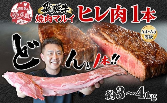 飛騨牛 ヒレ肉 ブロック A4～A5等級 1本 約3～4kg 3～4分割 ヒレ シャトーブリアン 肉 牛肉 ブランド牛 お肉 和牛 贅沢 お取り寄せ ご褒美 ステーキ 豪華 グルメ 焼肉 BBQ パーティー ギフト 贈り物 自家用 贈答用 焼肉マルイ 岐阜県 【 安八町 】