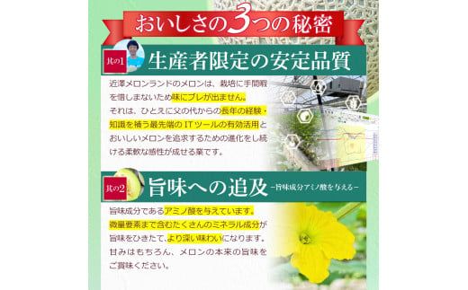 【先行予約】メロン 2玉入り（1玉約1.4kg～1.8kg）青肉 〈2026年11月下旬～12月末頃発送〉 メロン めろん マスクメロン 舐瓜 果物 くだもの フルーツ デザート 旬【株式会社とさもん】[BQAE023]