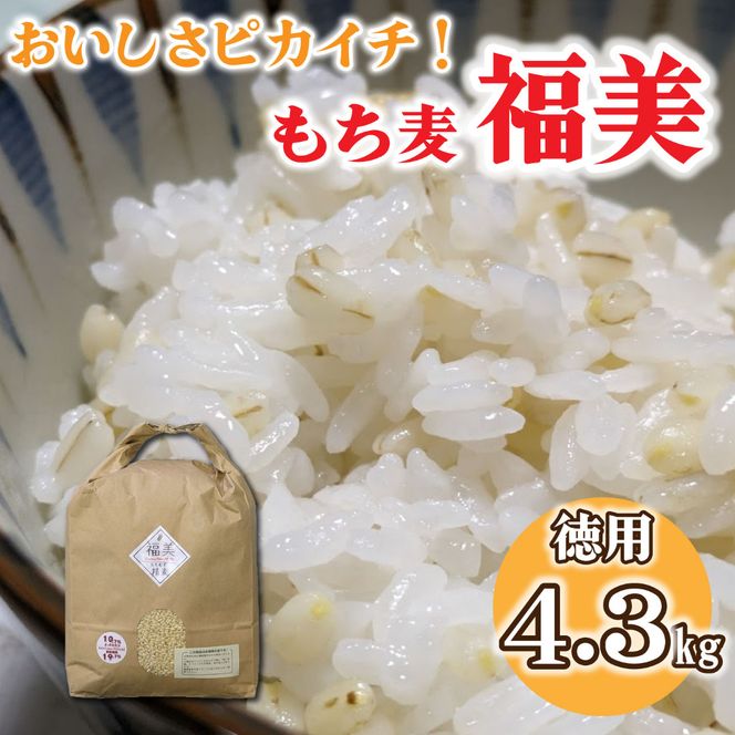 yɌ蒬zsJC`!sJC`!́wxɌ܂!!p4.3kg