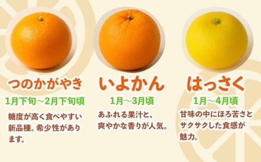 ＜1月より発送＞家庭用 柑橘詰合せ10kg+250g（傷み補償分）（傷み補償分）【訳あり・わけあり】【有田の春みかん詰め合わせ・フルーツ詰め合せ・オレンジつめあわせ】【光センサー選別】