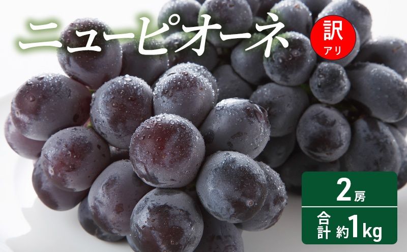 訳あり ぶどう ニューピオーネ 2房 合計約1kg 岡山県 高梁市産 2026年 先行予約 常温 フルーツ 葡萄 ブドウ 種無し 産地直送 大粒 爽やか 食べやすい