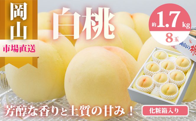桃 2026年 先行予約 岡山 の 白桃 8玉（合計1.7kg以上）化粧箱入り もも モモ 岡山県産 国産 フルーツ 果物 ギフト 