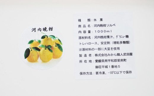 みかん職人が作った柑橘アイス1000ml×2種（夢オレンジ・河内晩柑）