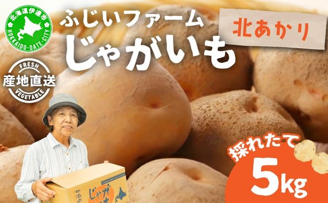 ＜先行予約＞北海道産 じゃがいも(北あかり) 約5kg | ジャガイモ 馬鈴薯 ポテト 芋 イモ きたあかり キタアカリ 野菜 人気 ふじいファーム キャッチコピー