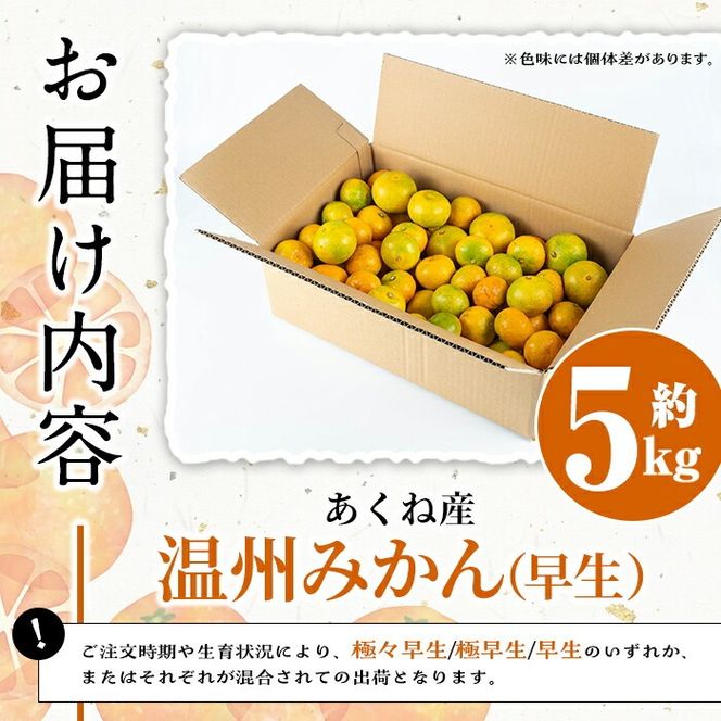 ＜先行予約受付中！2026年9月下旬以降順次発送予定＞数量限定！竹ん子山の早生みかん(約5kg) 国産 鹿児島県産 阿久根産 ミカン 蜜柑 みかん 柑橘 果物 フルーツ 温州みかん 早生みかん 果実 期間限定 【竹ん子山】akn097-02