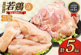 鶏肉 もも肉 2kg むね肉 3kg セット 計 5kg 未カット 宮崎県産 冷凍 [アイフーズ 宮崎県 日向市 452061698] とり肉 鳥肉 モモ肉 もも肉 むね肉 ムネ肉 胸肉 小分け 若鶏 宮崎
