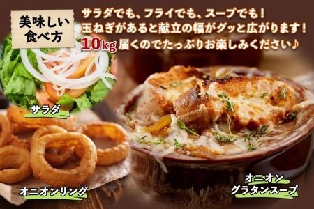 【CF2】《期間限定》北海道 士幌産 たまねぎ 玉ねぎ タマネギ 玉ネギ 玉葱 10kg (2025年12月～発送開始予定)  採れたて オニオン 旬の野菜 期間限定 新鮮 野菜 産地直送 産直 お取り寄せ 送料無料 十勝 士幌町 9000円 【V07】