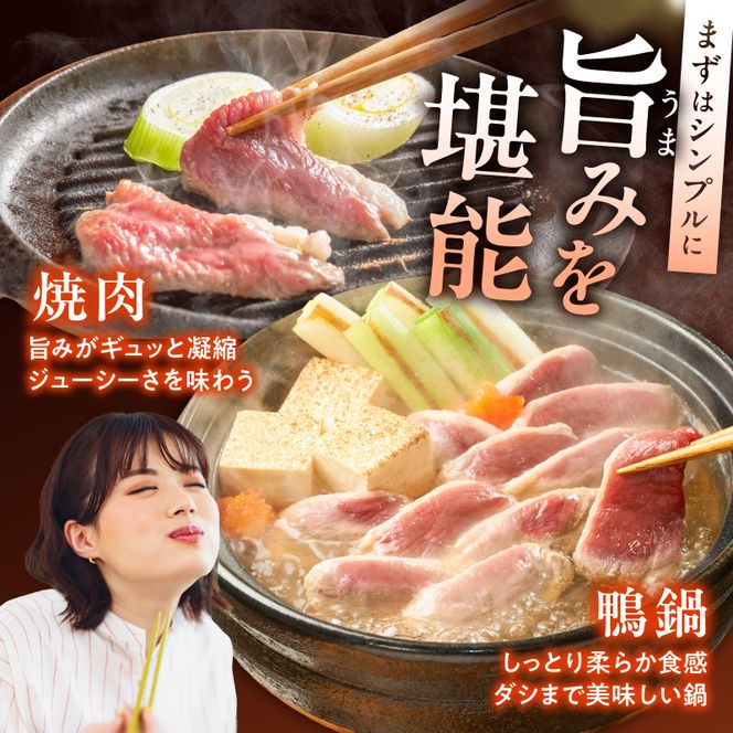 紀州鴨セット（ ローススライス300g  つくね200g  ソーセージ100g ）※到着希望日（時期）指定不可_AK6007n