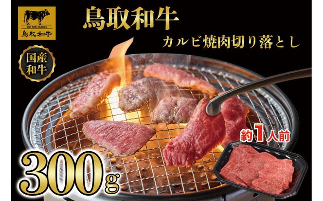y挧khz1030.aJrē؂藎Ƃ300g 313726_AJ124