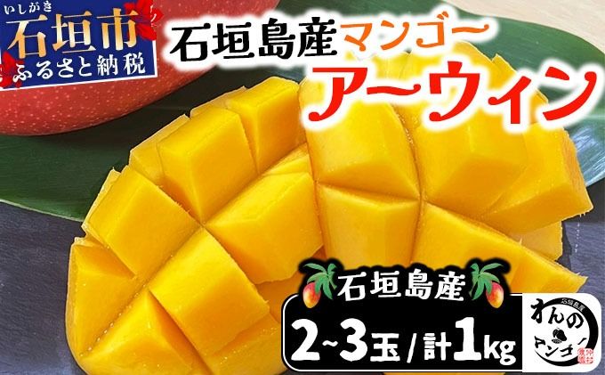 [わんのマンゴー]石垣島産マンゴー[アーウィン]NA-03