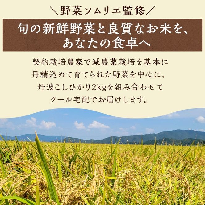 【6回定期便】京都丹波・亀岡発 旬の野菜・こしひかり 詰め合わせセット (隔月6回お届け)● ※北海道・沖縄・離島への配送不可